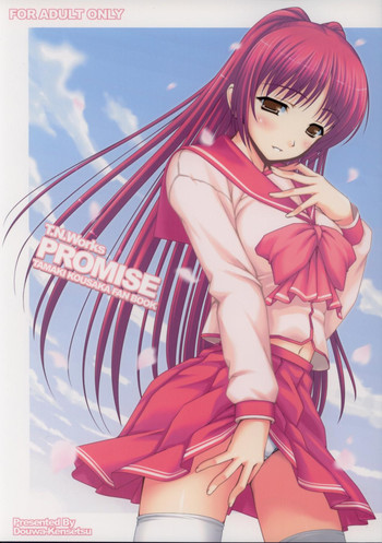 (C69) [DOUWA-KENSETSU (Nomura Teruya)] PROMISE (ToHeart2)