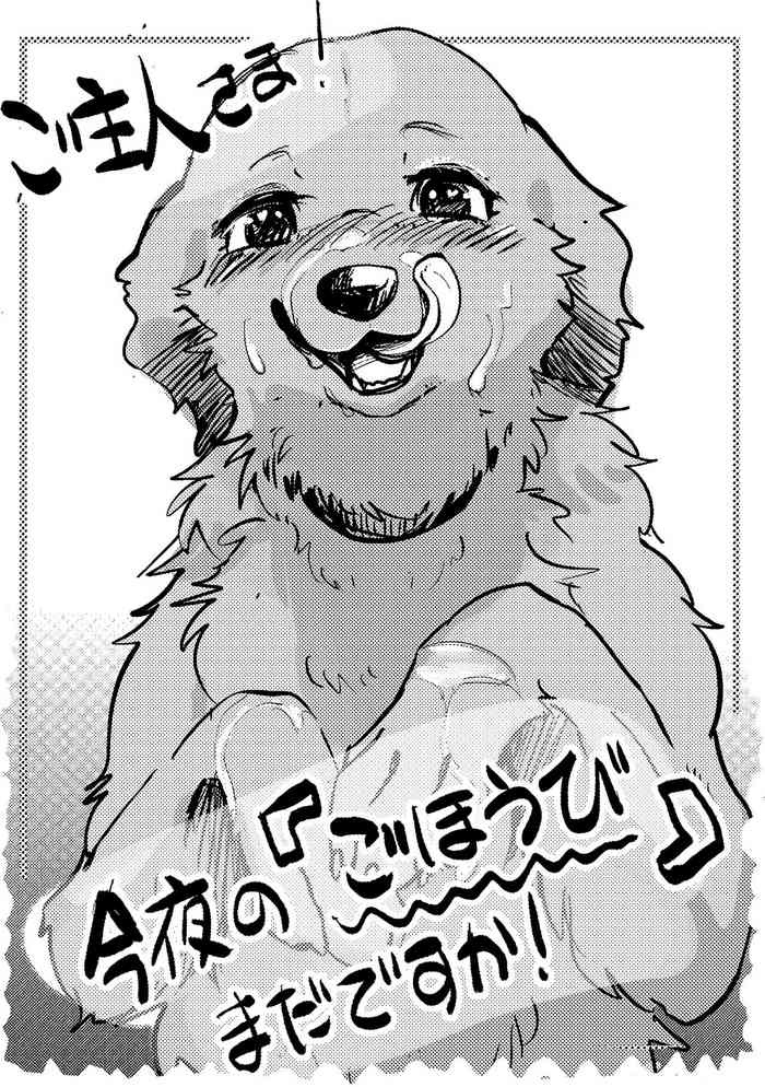 [Kon Juuichibai (Momou)] Goshujin-sama! Konya no "Gohoubi" Mada desu ka! [Decensored] [Digital]