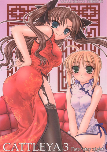 (C67) [Yakan Hikou (Inoue Tommy)] CATTLEYA 3 (Fate/stay night)