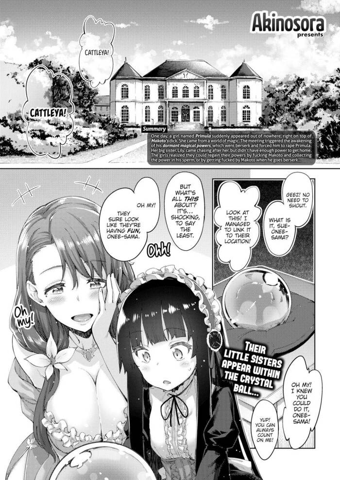 [Akinosora] A Sister for Each Season season2.5