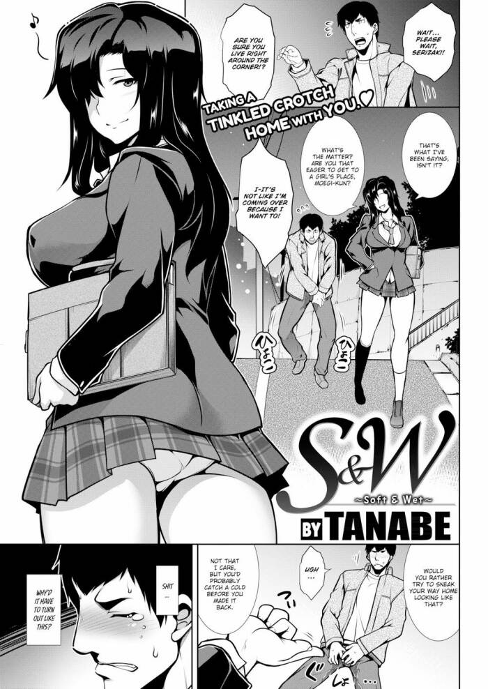 [Tanabe] S&W ~Soft & Wet~