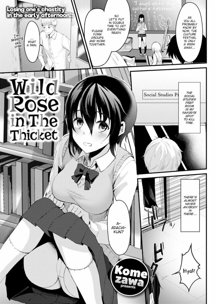 [Komezawa] Wild Rose in The Thicket