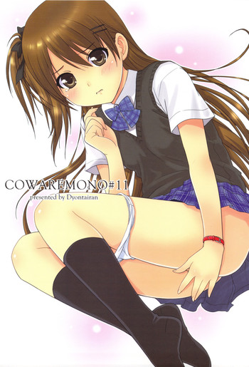 (C76) [Ocarina (Dyontairan)] Cowaremono #11