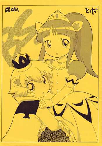 (C68) [Tokuda (Ueda Yuu)] BS (Fushigi Boshi no Futago Hime)