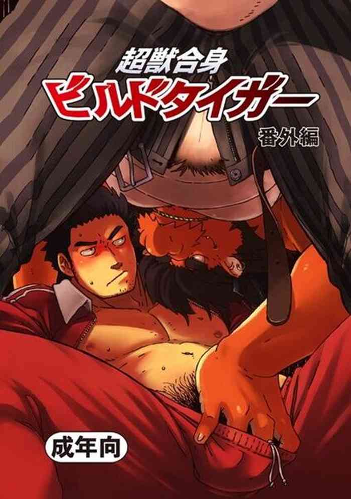 [Dragon Heart (gamma)] Choujuu Gasshin Build Tiger 番外篇 [Chinese]