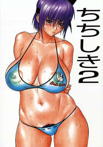 [Inoue Takuya, Titan Color Brand] Chichi Shiki 2 (Dead Or Alive, Street Fighter)