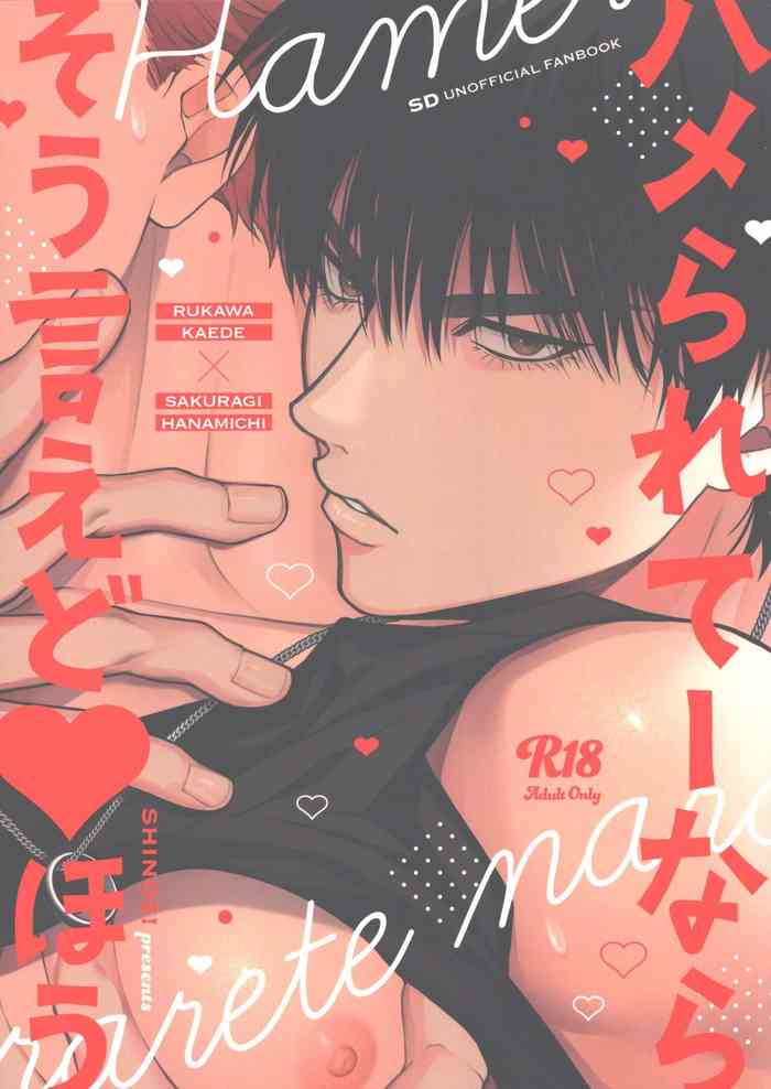[SHINOZ! (Kyoko Shinozaki)] Hamerarete nara soie doaho (Slam Dunk)