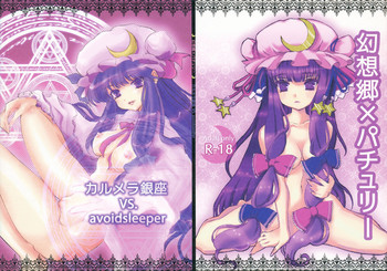 (C76) [Karumera Ginza VS. Avoidsleeper] Gensokyo x Patchouli (Touhou)