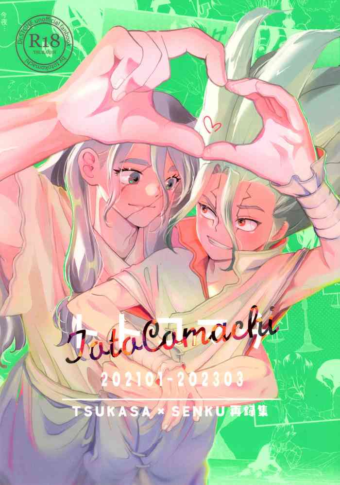 (The ROCK 14) [Totokomachi (Totoko)] TotoComachi TsukasaSen Sairokushuu (Dr.STONE)