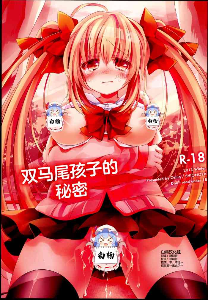 (C85) [Shionoya (Oshio)] Twintail na Anoko no Himitsu. | 双马尾孩子的秘密 [Chinese] [白杨汉化组]