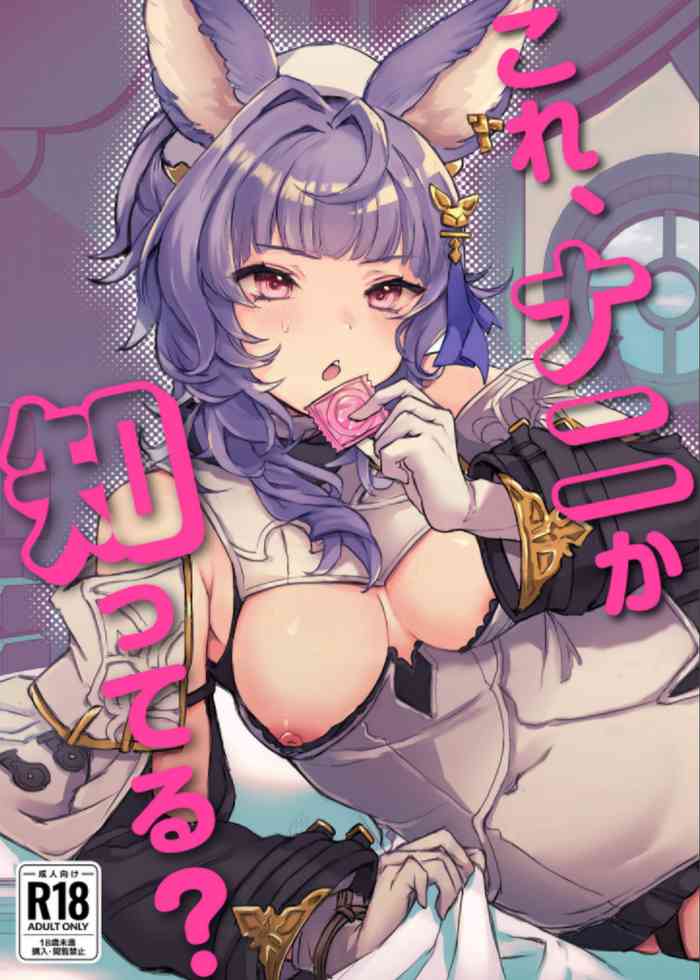 [27:30 (ichuka)] Kore, Nani ka Shitteru? (Granblue Fantasy) [Digital]