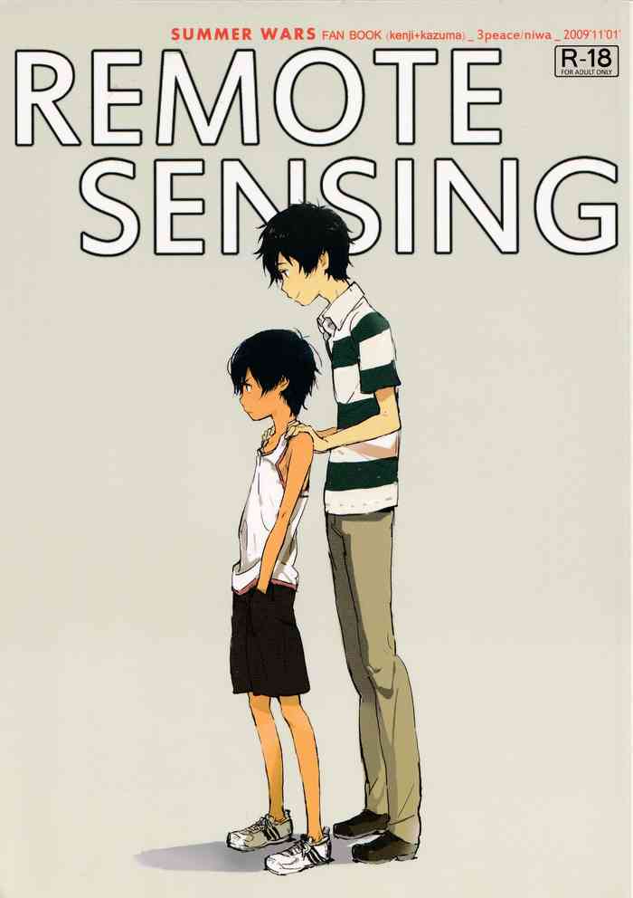 (CCFukuoka22) [3peace (niwa)] Remote Sensing (Summer Wars)