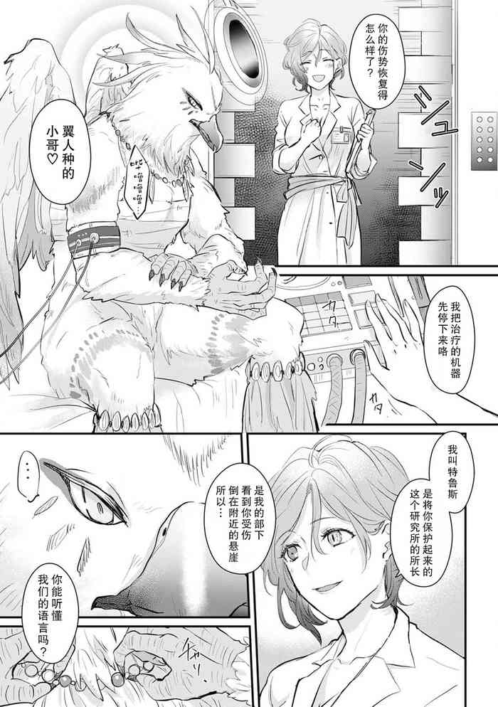 [Tama kyuri] tsubasa jinshu × kenkyuin 'iboibo chi 〇 Po de kotsukuri sekkusu… kimochi i… ~tsu' | 翼人种x研究员「被带突起的鸡○插入真枪实战的做爱…真的好舒服…」 (jingai danshi ni aisa re daka re ika sa rete `ningen aitede wa ajiwaenai kairaku o oshiete yarou') [Chinese] [莉赛特汉化组]