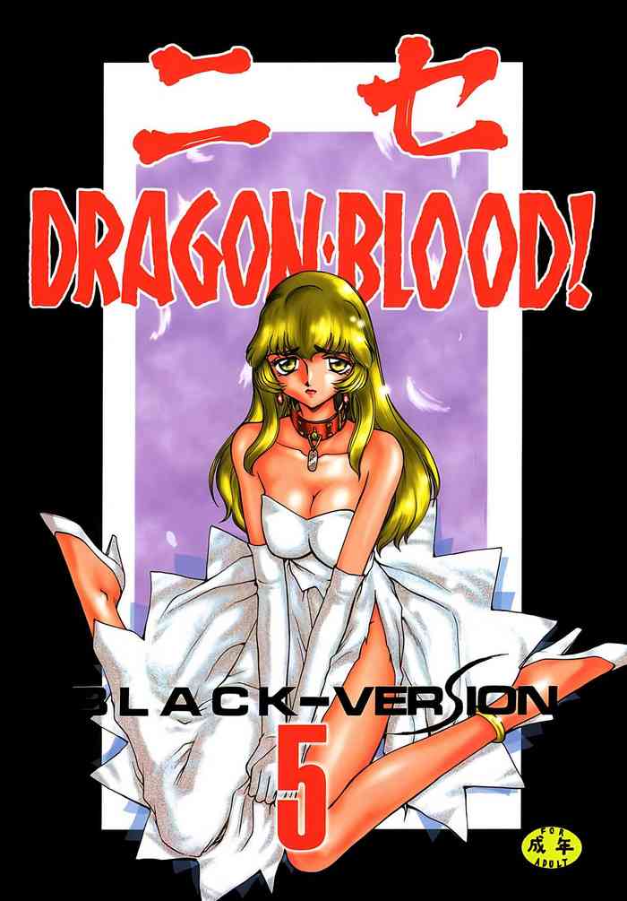(C55) [LTM. (Taira Hajime)] Nise DRAGON BLOOD! 5 [Chinese][WindSong个人汉化]