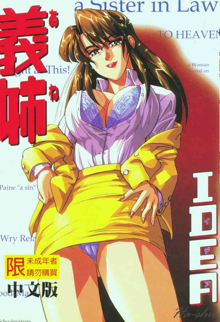 [IDEA] Ane - a Sister in Law [Chinese]