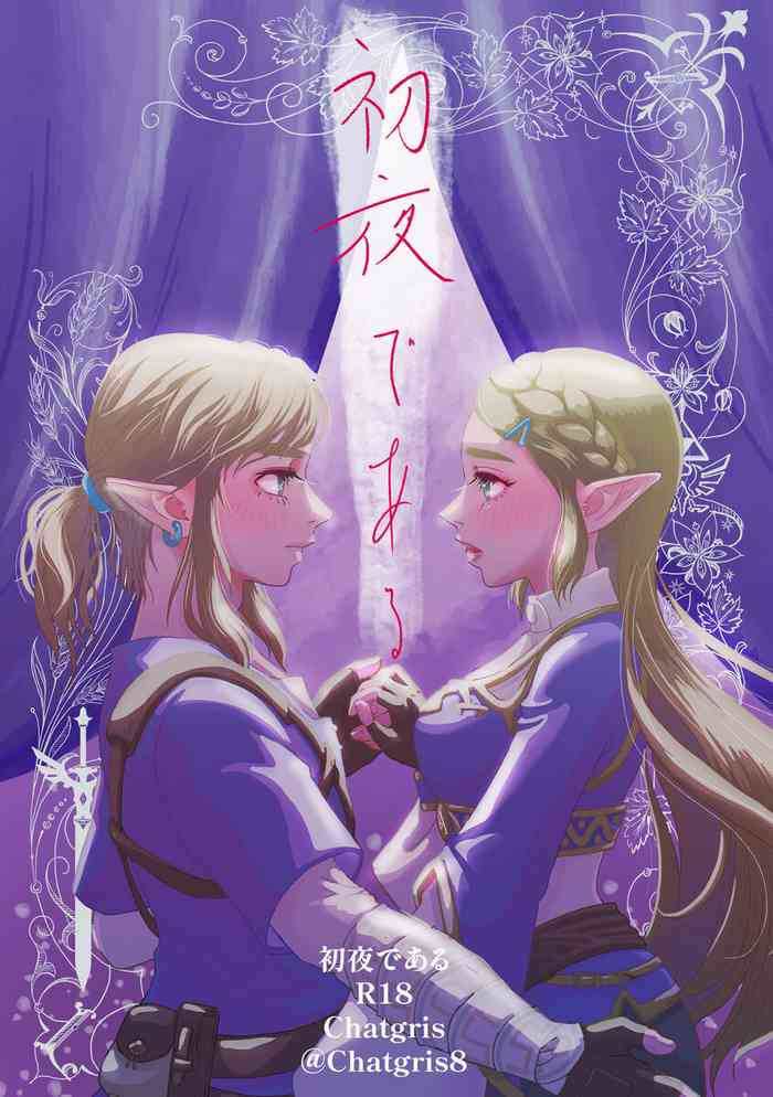 [chatgris8)]Shoyadearu DL-bani(The Legend of Zelda) cover
