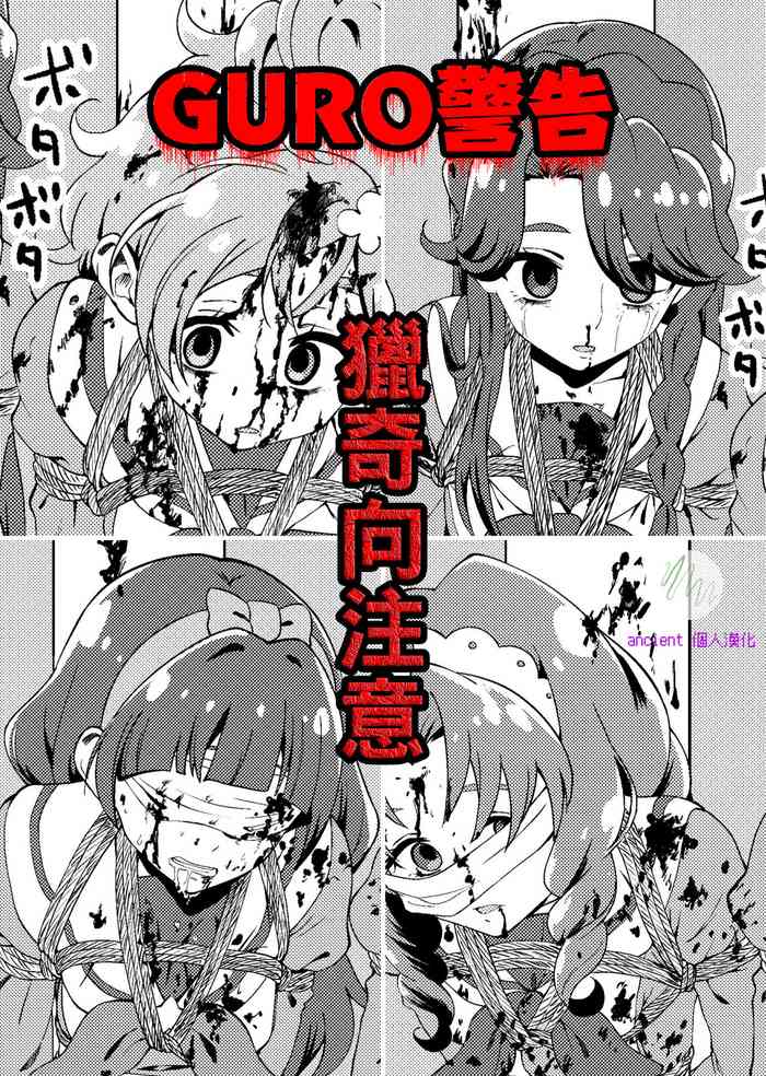 [Tankobu Meguru]Princess Precure Execution (Go! Princess Precure)(ancient个人机翻汉化)