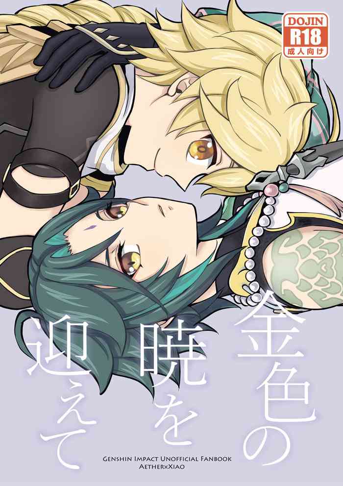 [Hatonic (よこなか)] 金色の暁を迎えて [Digital]