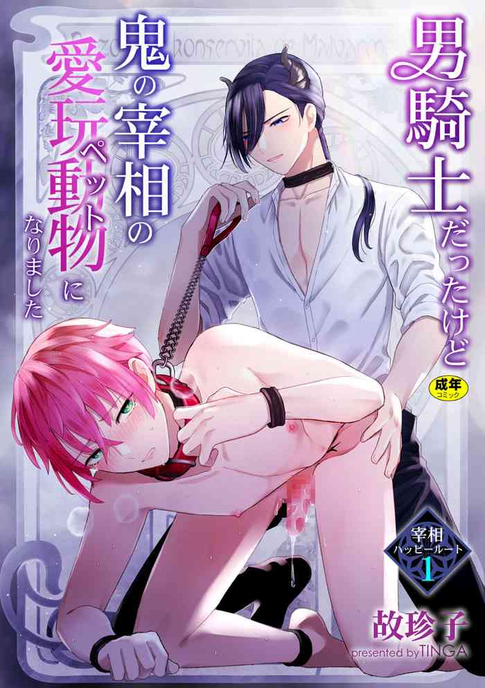 [TINGA (Kochinko)] Otoko Kishi datta kedo Oni no Saishou no Aigan Pet ni Narimashita 1 [Chinese][Digital]