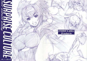 (C74) [Studio N.BALL (Haritama Hiroki)] SURPRISE CULTURE (Macross Frontier)