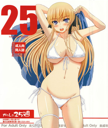 [Shiawase Kyouwakoku (Shiawase no Katachi)] Katashibu 25-shuu [English] [SaHa]