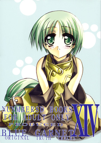 (C62) [BLUE GARNET (Serizawa Katsumi)] BLUE GARNET XIV SKY (SKYGUNNER)