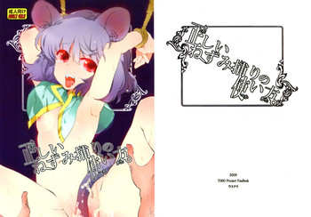 (C77) [Uminari (Narumi)] Tadashii Nezumitori no Tsukaikata. (Touhou Project)