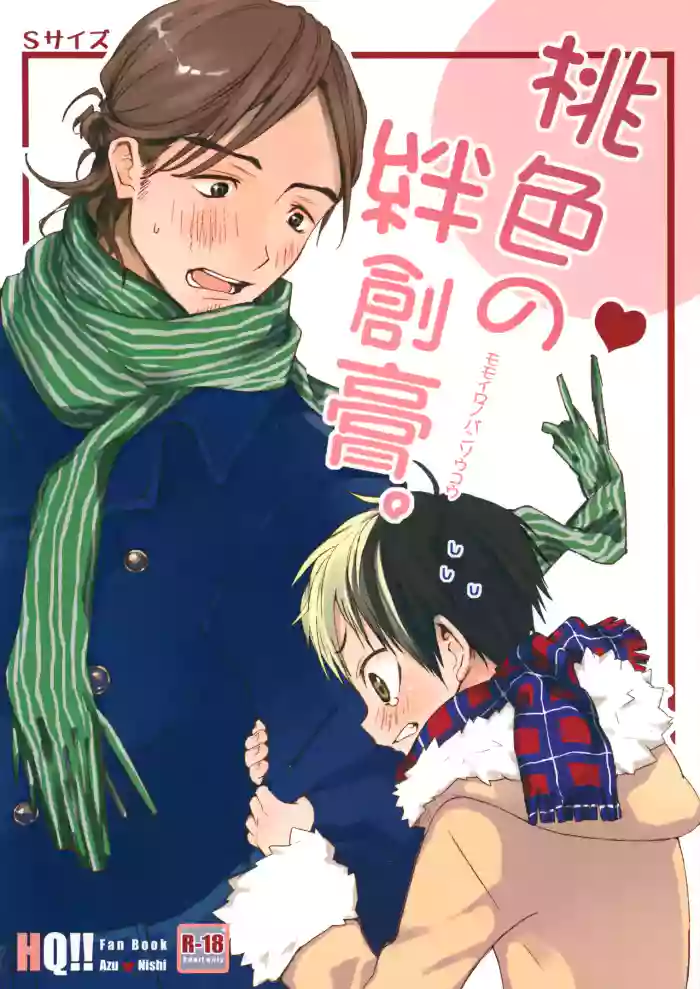 [S-Size (Shinachiku)] Momoiro no Bansoukou (Haikyuu!!)