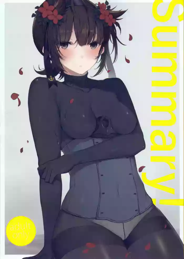 (C95) [Oishii Oniku. (Oniku.)] Summary (Kantai Collection -KanColle-) [English] [Ne-Kai Agenda]