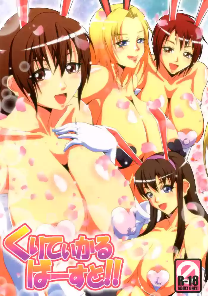 [MEAN MACHINE (Mifune Seijirou)] Critical Burst!! (Dead or Alive)
