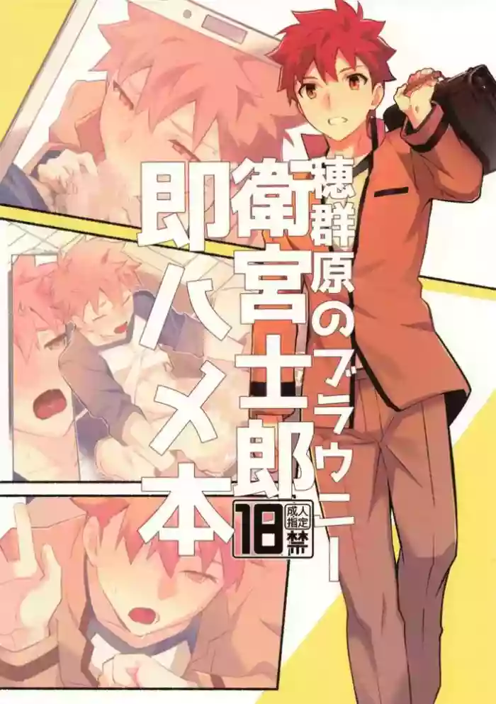 [GLUTAMIC:ACID (Tanunosuke)]穂群原のブラウニー衛宮士郎即ハメ本 Chinese