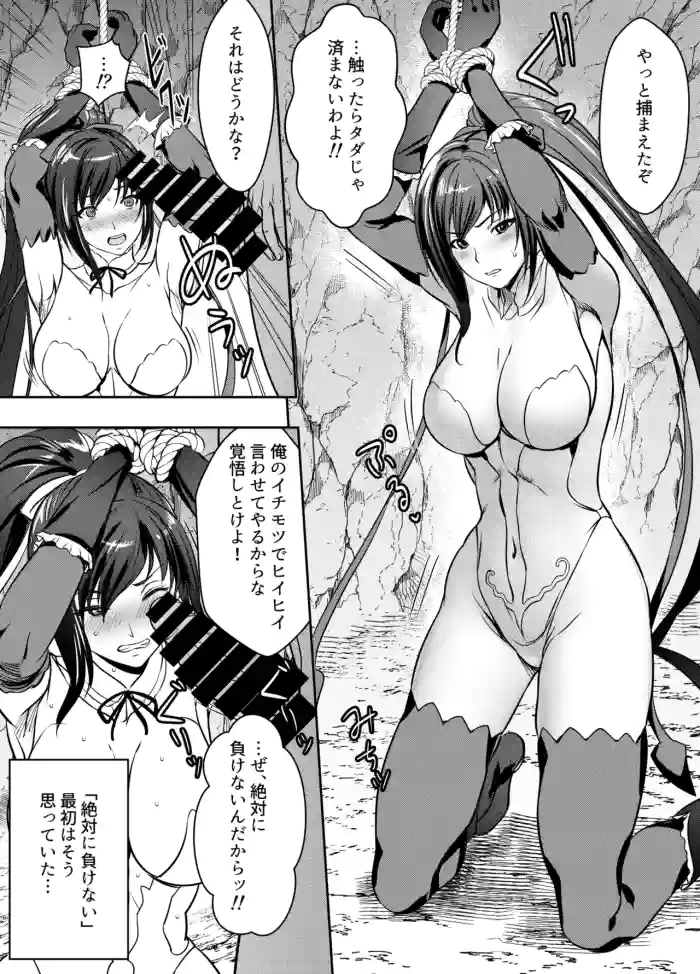 [Osuwaani] Request Itadaita Mono desu (Shining blade)