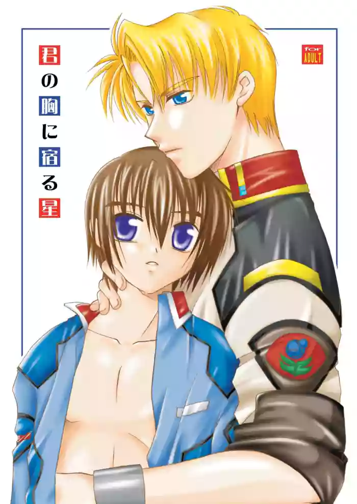 [まりあな海溝企画 (みかみ北都)] 君の胸に宿る星 (gundam seed)