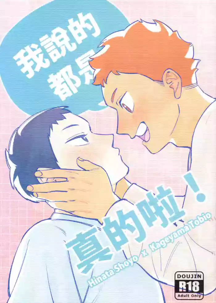 [HO] I am telling the truth, okay! (Haikyuu!!) [Chinese]
