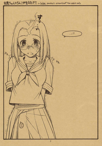 [bolze. (rit.)] Mitsue-chan ni Chinko ga Haeta P. T. (Kamichu!)