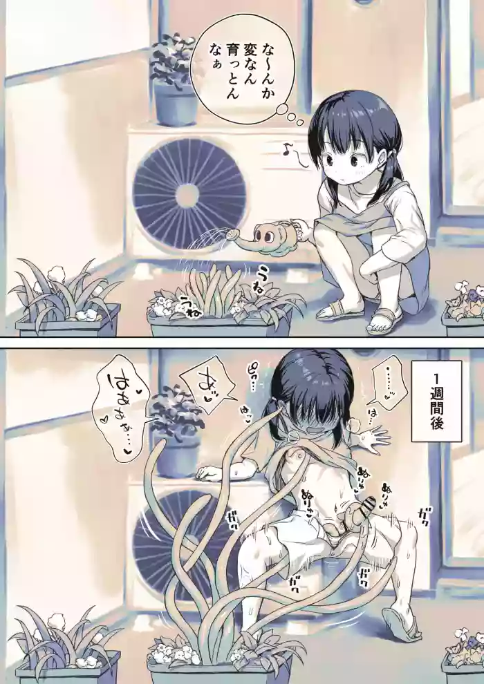 [Ayanakitori] Ukkari Shokushu Shokubutsu o Sodatechatta Futanari-chan