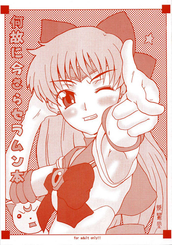 [sailor moon]Naze ni Imasera Seramun Hon