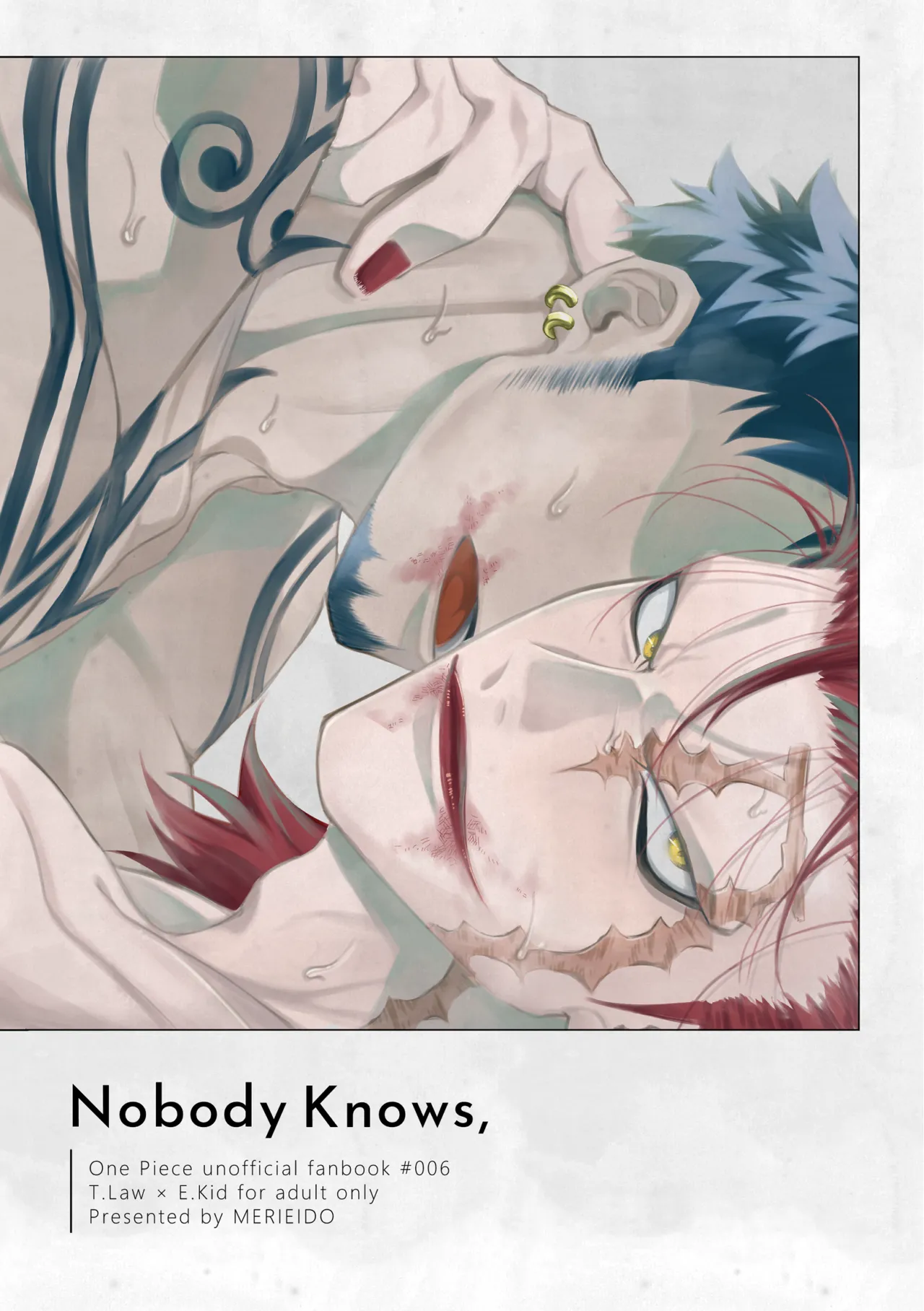 [MERIEIDO (Mizumoto)] Nobody Knows, (One Piece) [Digital]