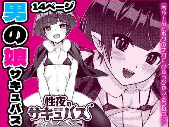 [Rigudaru (Rigudaru)] Seiya no Succubus