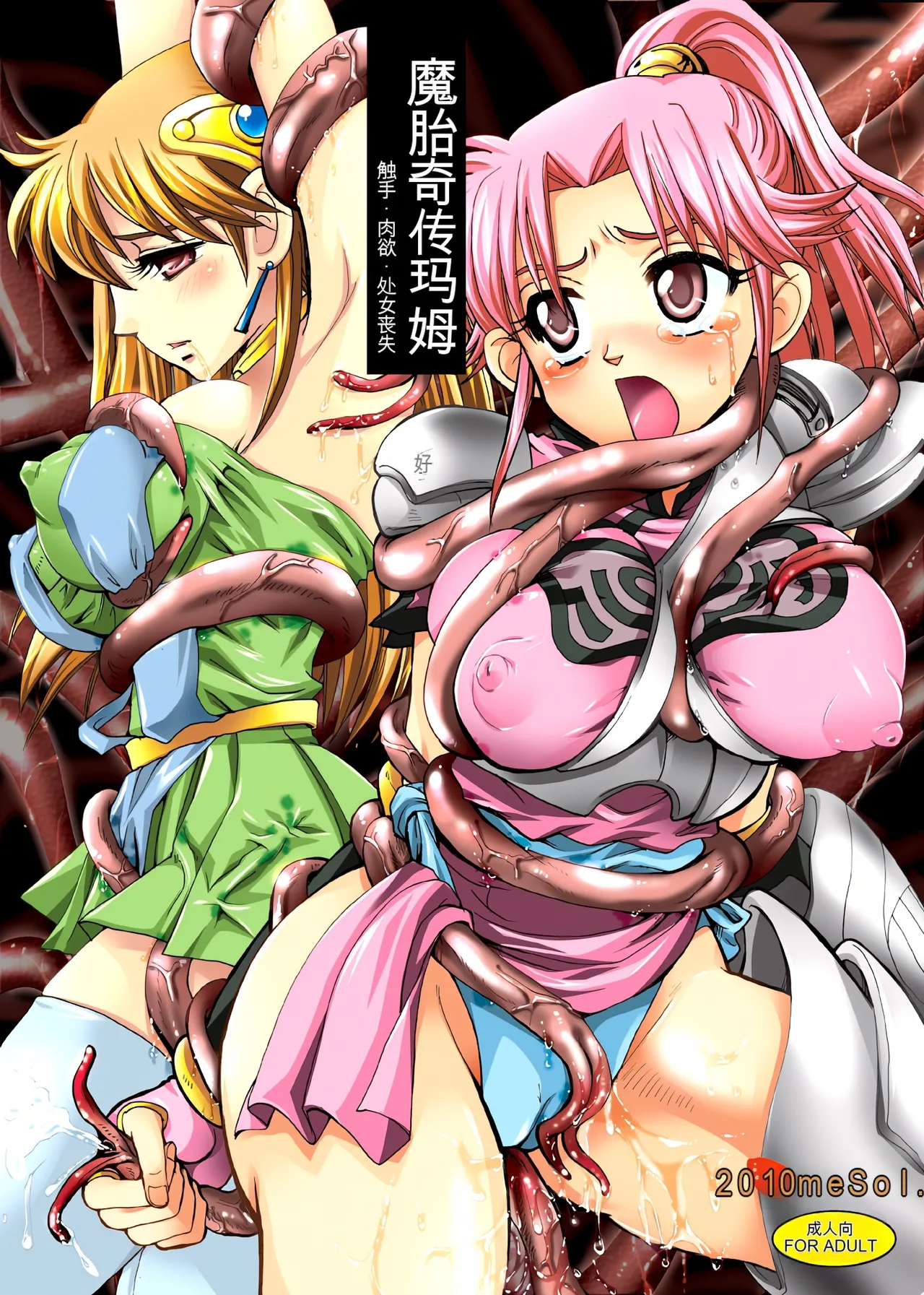 [Modae Tei] Mataikiden Maam (Dragon Quest Dai no Daibouken)[chinese]