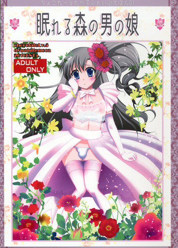 (C78) [chocolate Lv.5 (Dynamite moca)] Nemureru Mori no Otokonoko