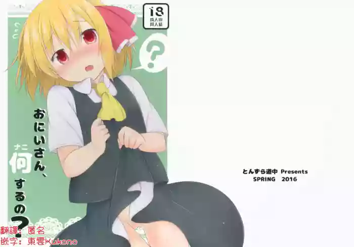 (Reitaisai 13) [Tonzura Douchuu (Kazawa)] Onii-san, Nani Suru no? | 哥，这什么啊 (Touhou Project)[Chinese] [明稿昨拖汉化组]