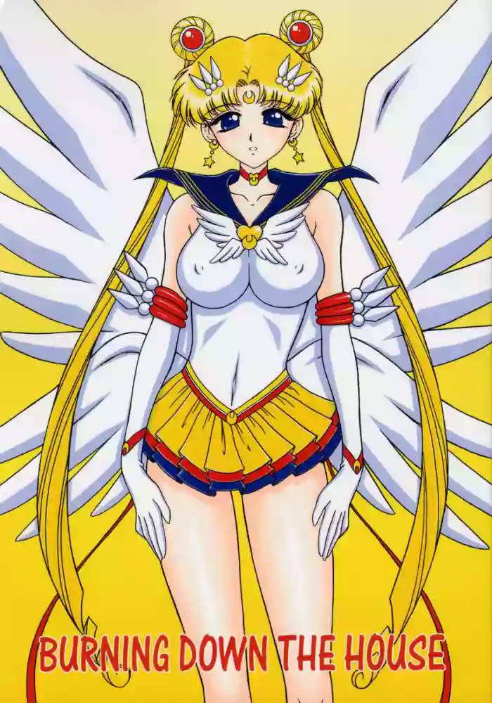 (C66) [BLACK DOG (Kuroinu Juu)] Burning Down the House (Bishoujo Senshi Sailor Moon) [Chinese][Colorized]