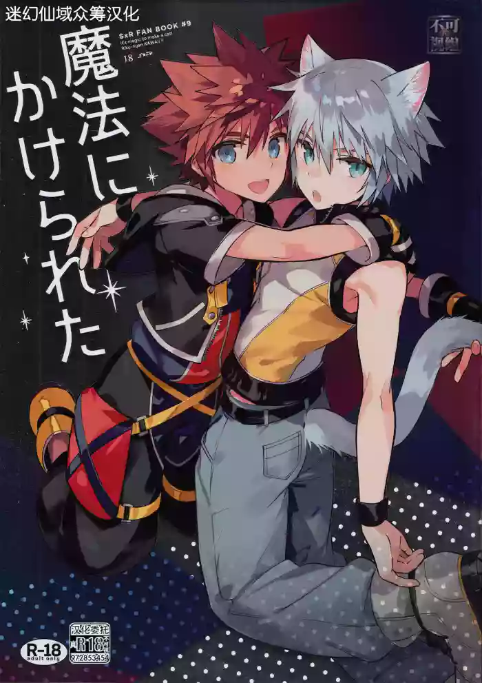 (C94) [esto (Ninomotoko)] Mahoni Kakerareta (Kingdom Hearts) [Chinese] [迷幻仙域×真不可视汉化组]