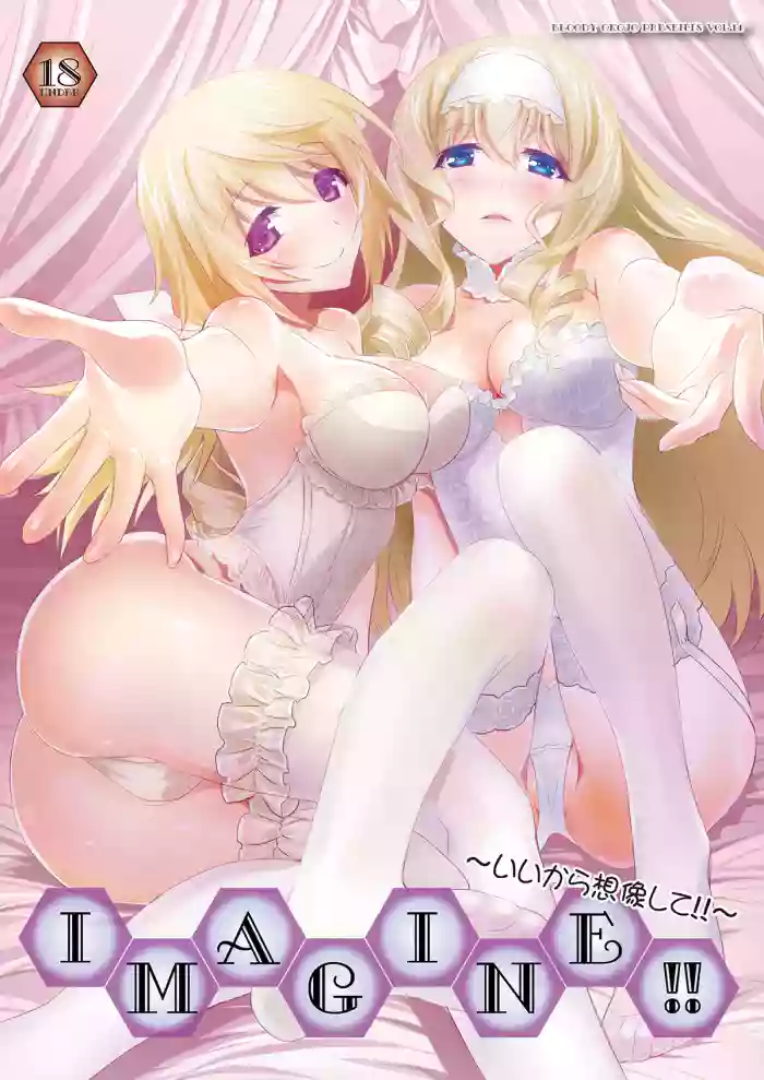 [Bloody Okojo (Mojyako, Caviar)] IMAGINE!! ~Iikara Souzou Shite!!~ (IS <Infinite Stratos>) [Digital]