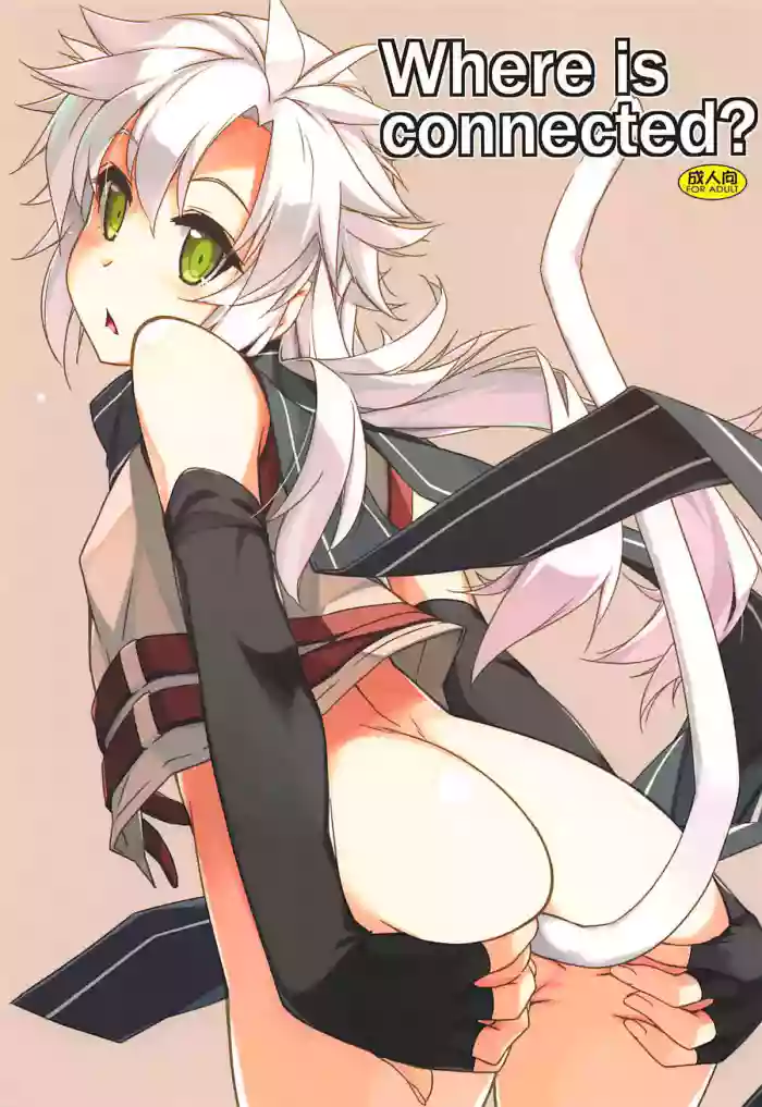 (C94) [Angyadow (Shikei)] Where is connected? (The Legend of Heroes: Sen no Kiseki) [Chinese]