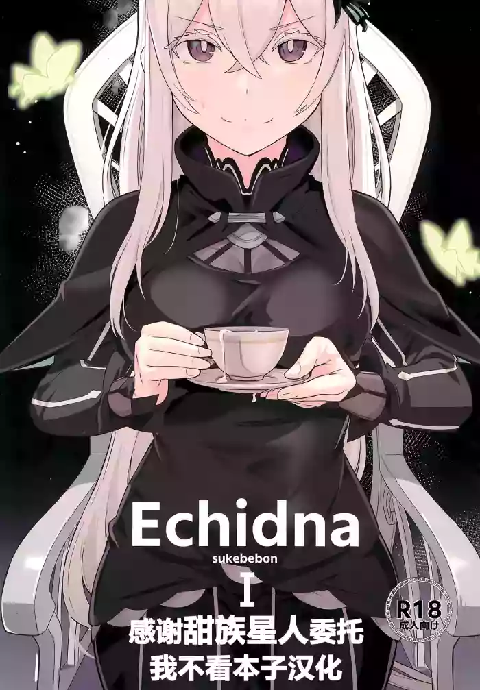 (C99) [Ohanabatake (Siseki Hirame)] Echidna sukebebon I (Re:Zero kara Hajimeru Isekai Seikatsu) [Chinese] [甜族星人x我不看本子汉化] [Digital]