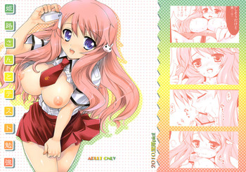 [Kurosawa pict (Kurosawa Kiyotaka)] Himeji-san to Test Benkyou (Baka to Test to Shoukanjuu) [English] [CGrascal]