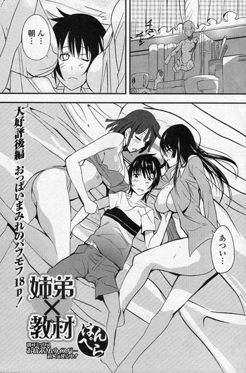 [Hanpera] Shitei X Kyouzai (COMIC Junai Kajitsu 2010-11)