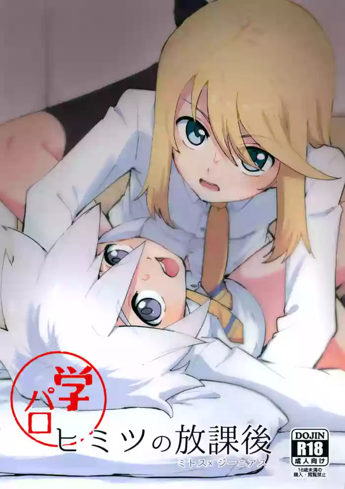 (ShotaFes 22) [Yukirinrin! (Oyu)] Himitsu no Houkago (Tales of Symphonia)